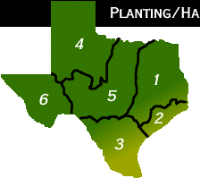 Diagram:  Texas planting / harvest areas